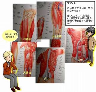 jintai-ken.jpg